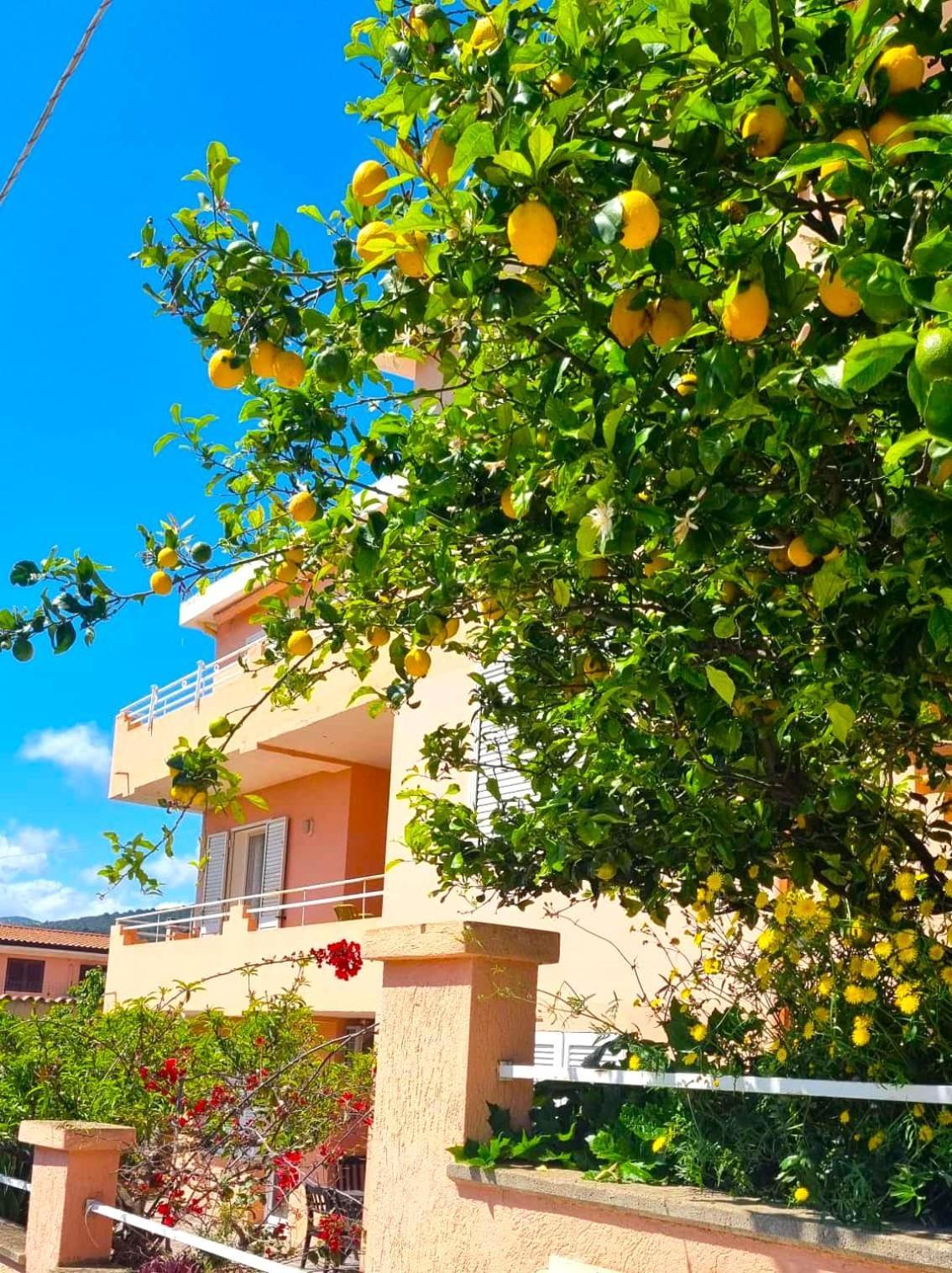 Casa Vacanze Mura 卡拉古诺内 外观 照片